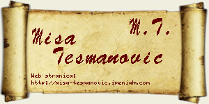 Miša Tešmanović vizit kartica